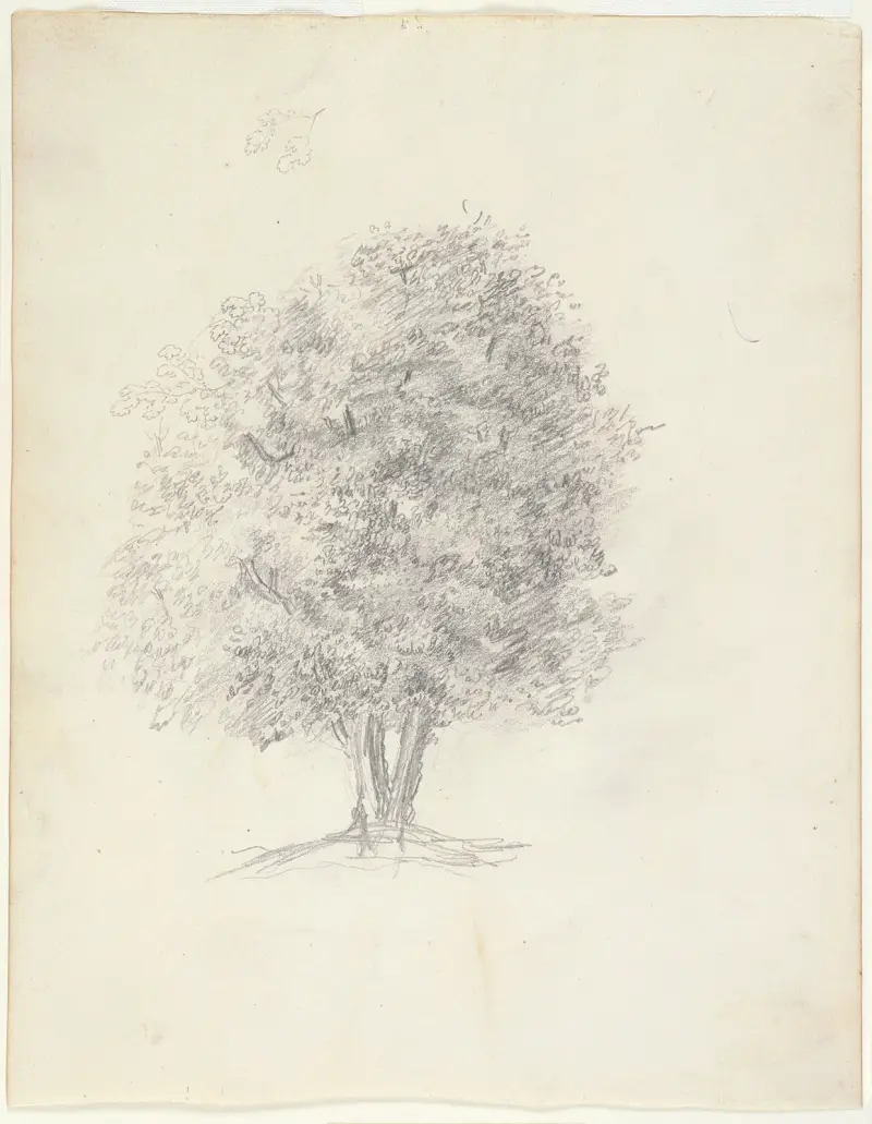 Studie stromu, Théodore Rousseau