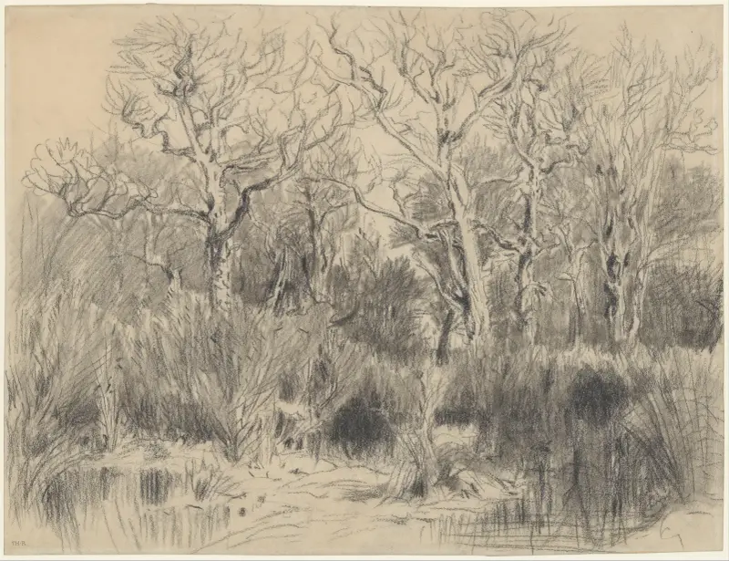 Bäume im Dickicht von Théodore Rousseau