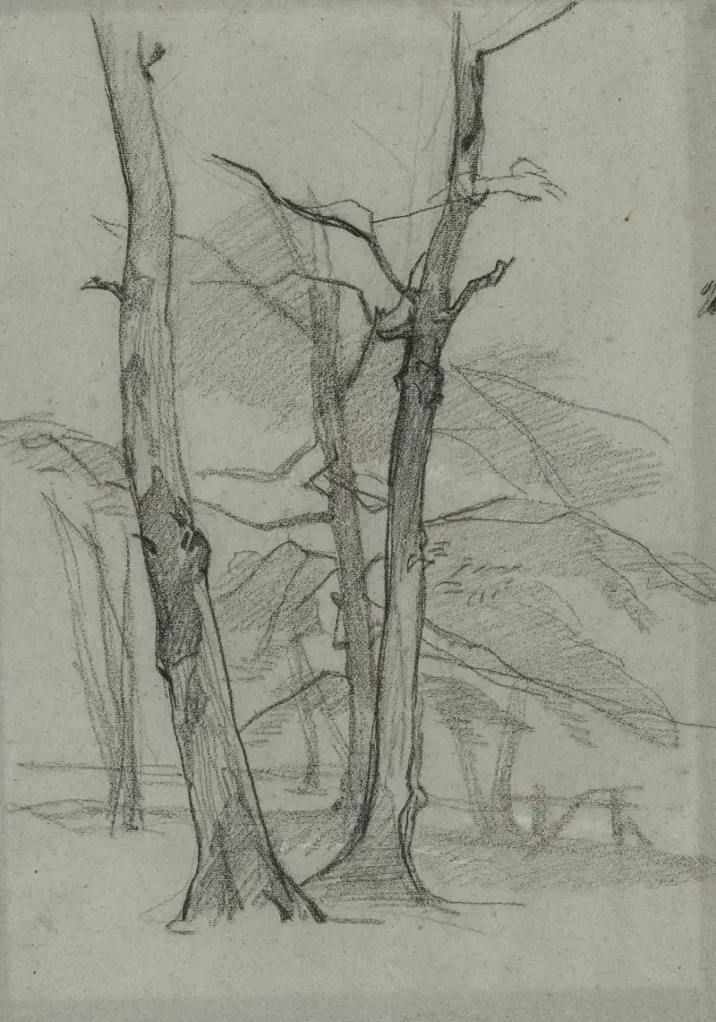 Krajinářská studie se stromy, Thomas Couture