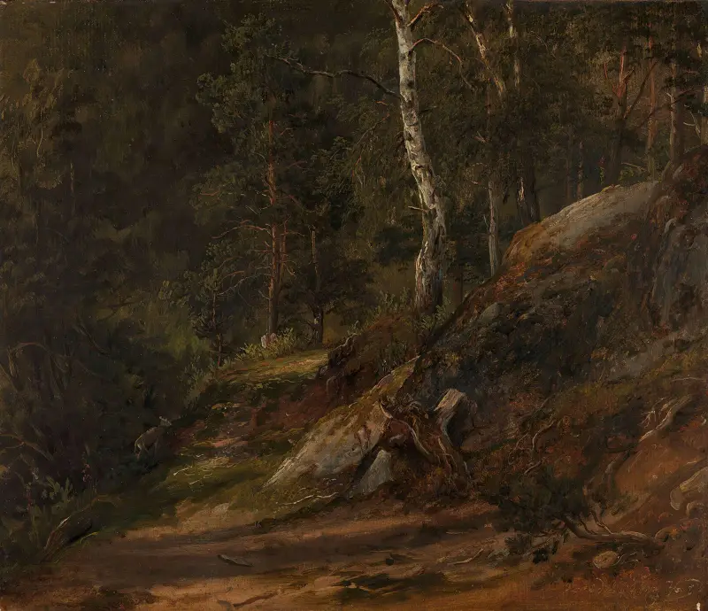 Lesní studie z Romsdalu, Thomas Fearnley