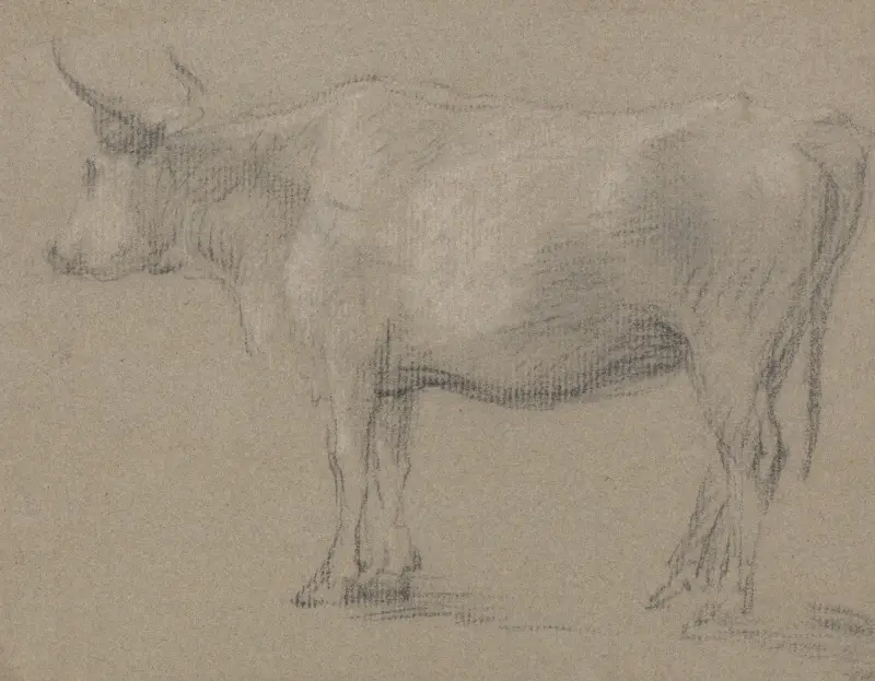 Study of a Cow av Thomas Gainsborough
