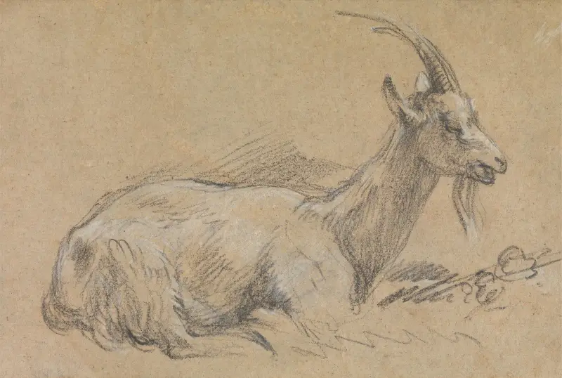 Study of a Goat av Thomas Gainsborough