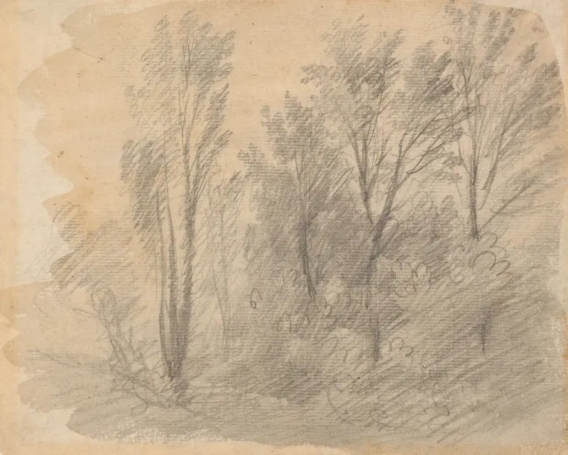 Studium drzew, Thomas Gainsborough