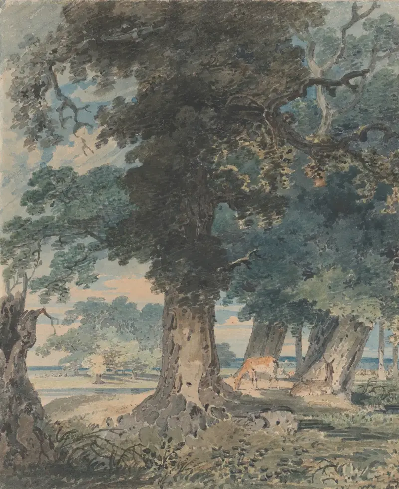 Deer in Windsor Forest, Thomas Girtin