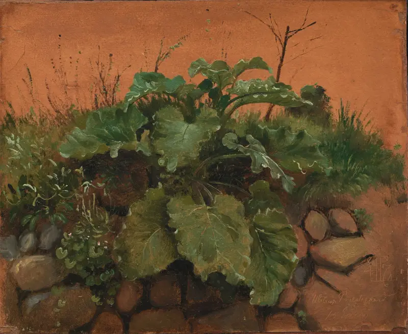 A Burdock And Other Plants On A Stone Wall av Johan Thomas Lundbye