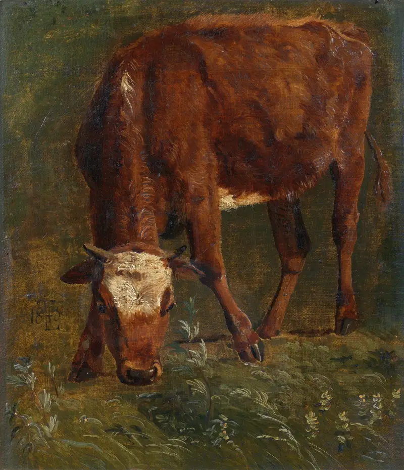 Weidende rote Färse. Studie von Johan Thomas Lundbye