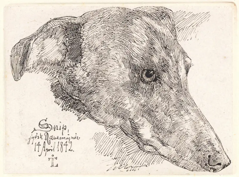 Hundehoved, Snip av Johan Thomas Lundbye