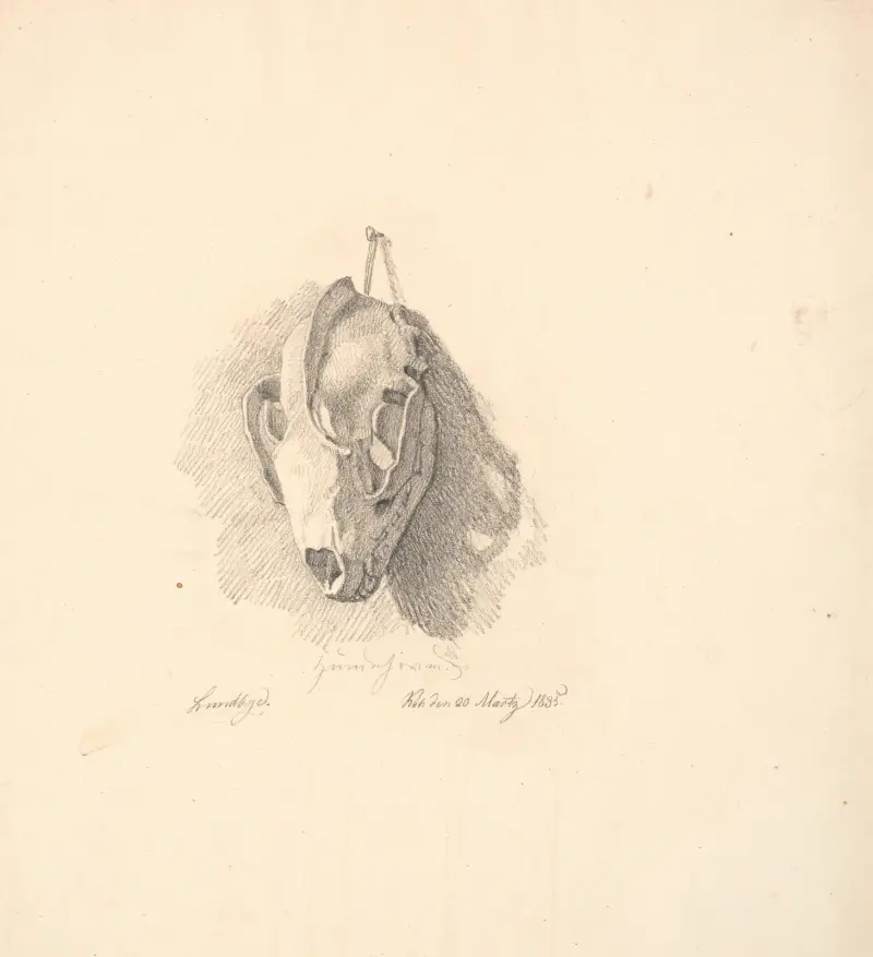 Hundekranium av Johan Thomas Lundbye