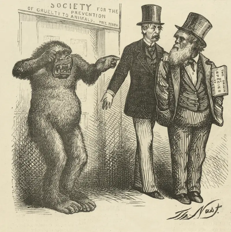 Mr. Bergh to the rescue av Thomas Nast