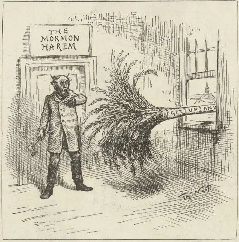 The house that needs dusting very much av Thomas Nast