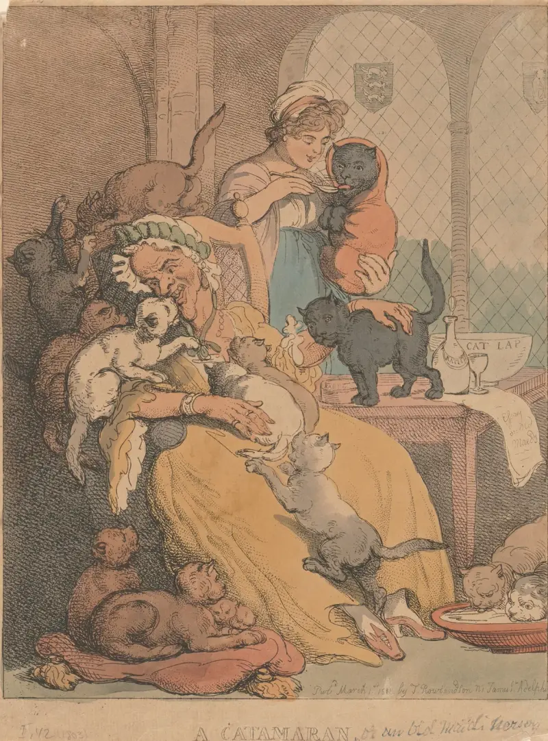 A catamaran; Or an old maid’s nursery av Thomas Rowlandson
