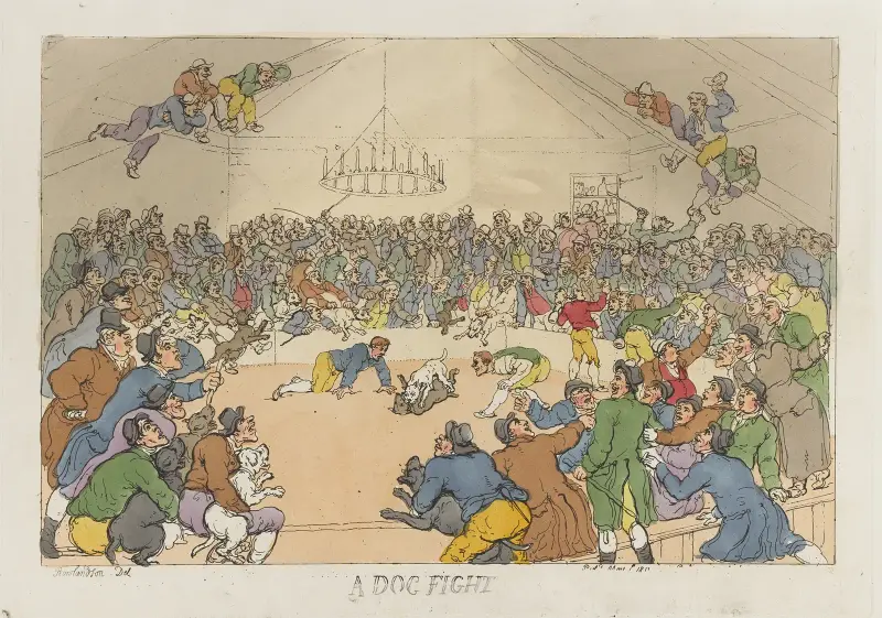 A dog fight von Thomas Rowlandson