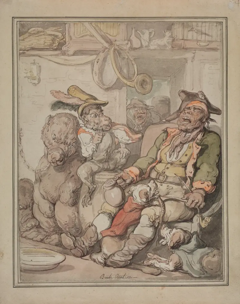 Srovnávací anatomická studie, Thomas Rowlandson