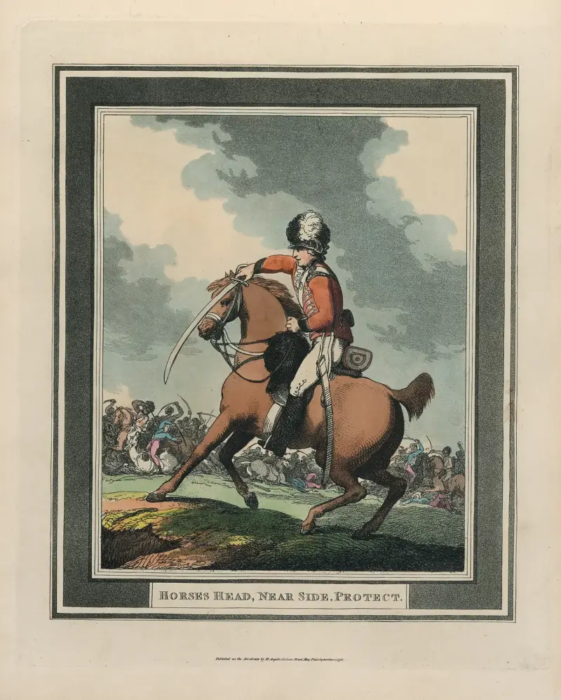 Hästhuvud, närbild, skydd av Thomas Rowlandson