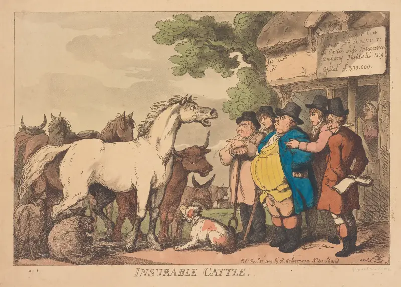 Insurable cattle von Thomas Rowlandson