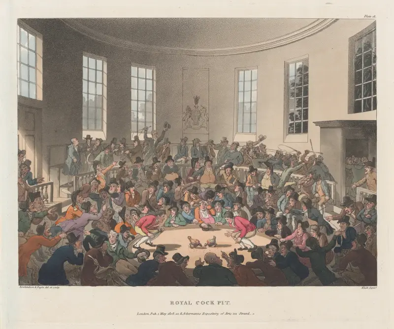 Royal Cockpit av Thomas Rowlandson