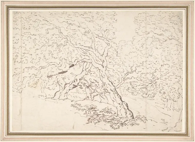 Studie av träd av Thomas Rowlandson