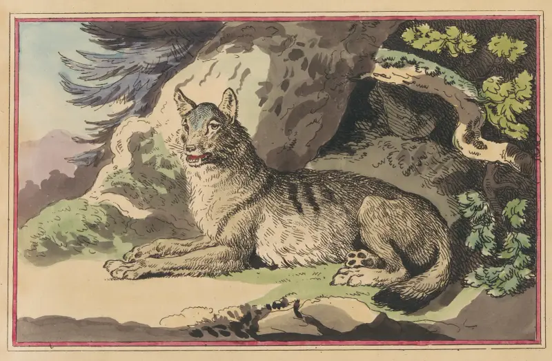 The Wolf, Thomas Rowlandson