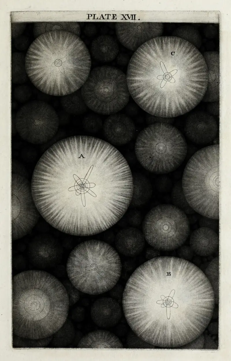 An original theory or new hypothesis of the universe, Plate XVII av Thomas Wright