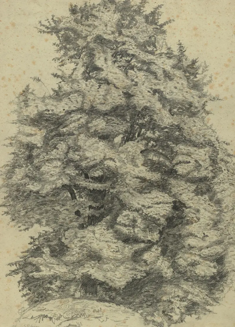 Studie stromu v Prateru, Tina Blau