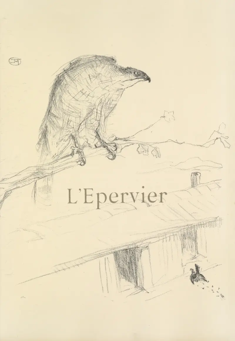 Der Sperber von Henri de Toulouse-Lautrec