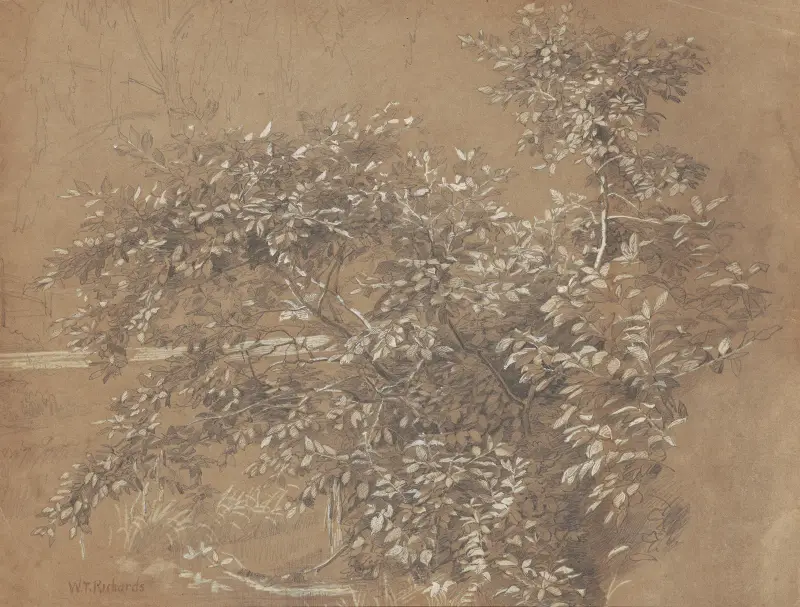 Listoví, William Trost Richards