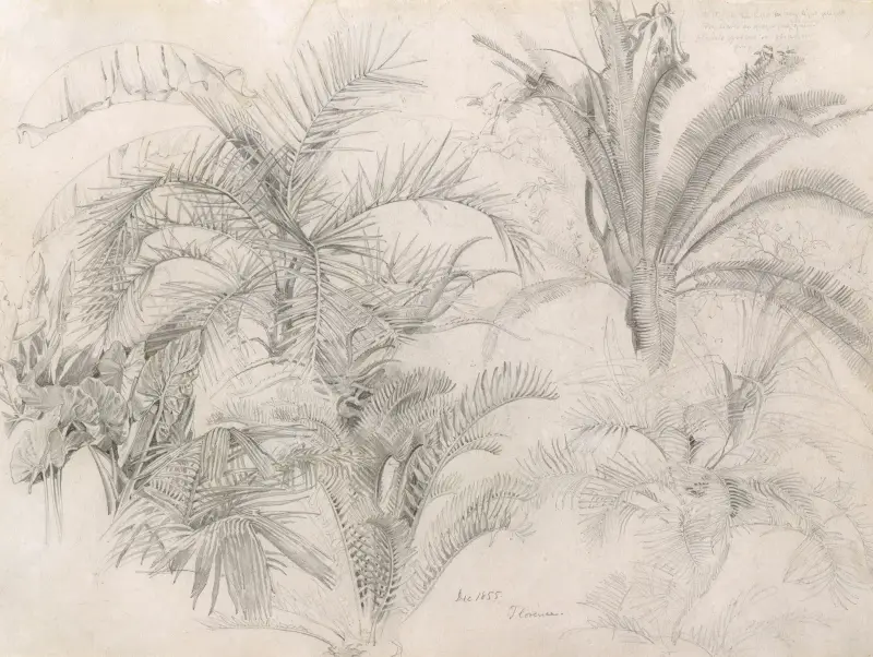 Palmy, William Trost Richards