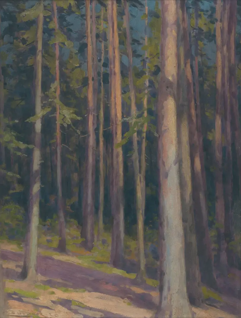 Fir forest av Ľudovít Čordák