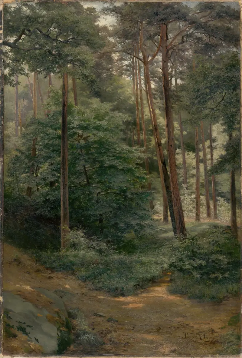 Wald, 1894 von Ľudovít Čordák