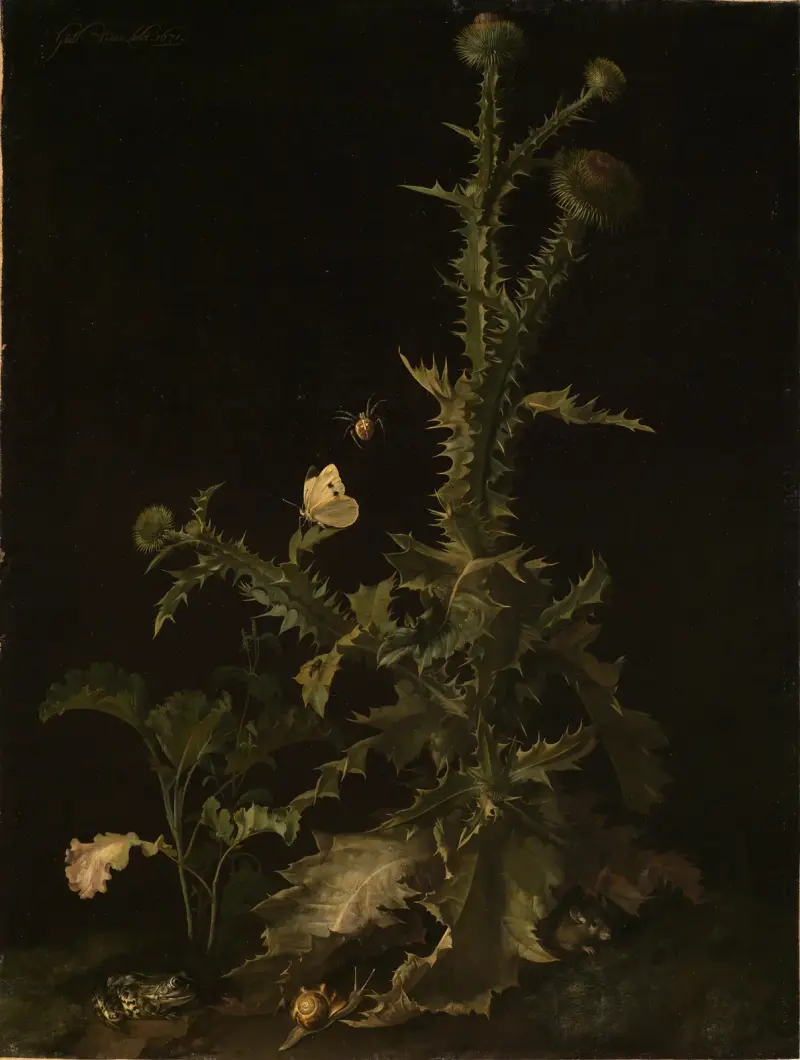 Distel mit verschiedenen Tieren av Willem van Aelst