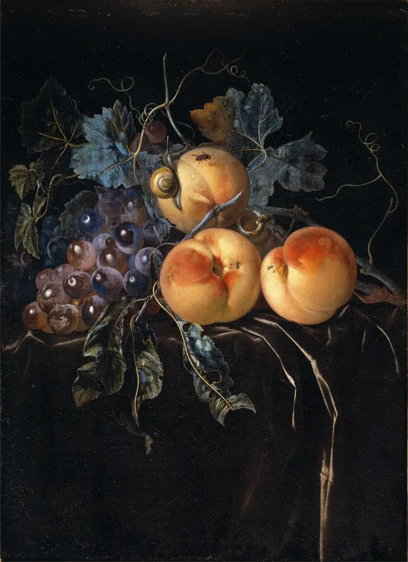 Still Life with Peaches and Grapes av Willem van Aelst