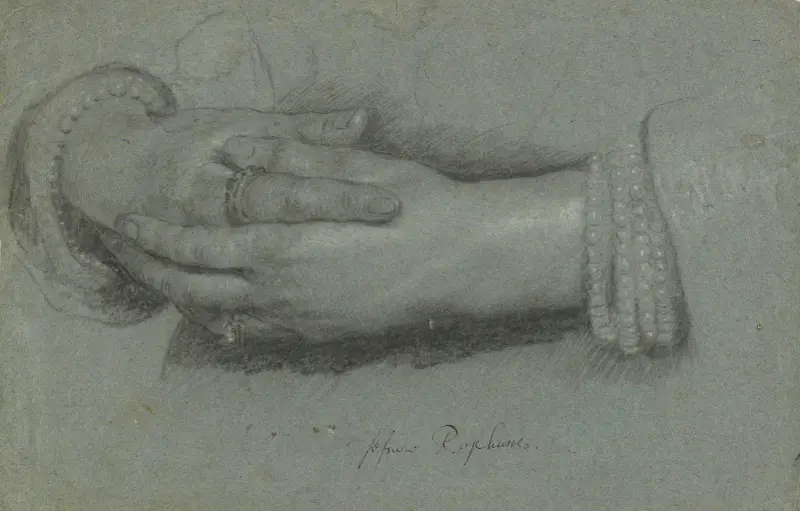 Studie der Hände einer Frau von Cornelis Jonson van Ceulen