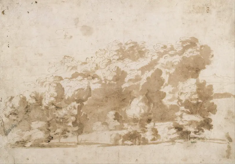 Ein bewaldeter Hügel von Anthony van Dyck