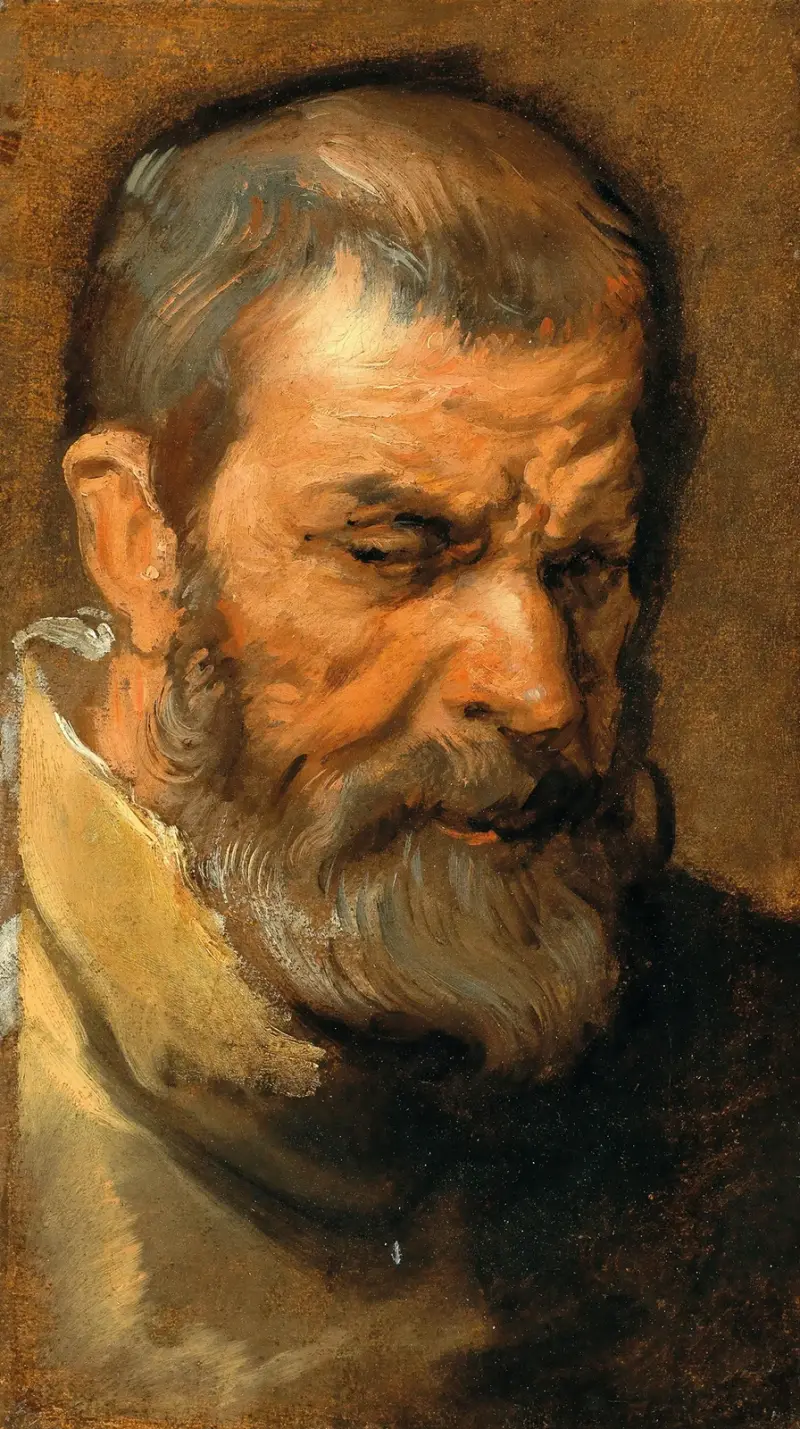 Head Of A Bearded Man av Anthony van Dyck