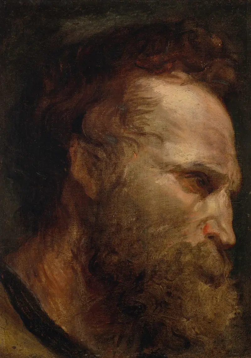 Head study of a bearded man – nr 2 av Anthony van Dyck