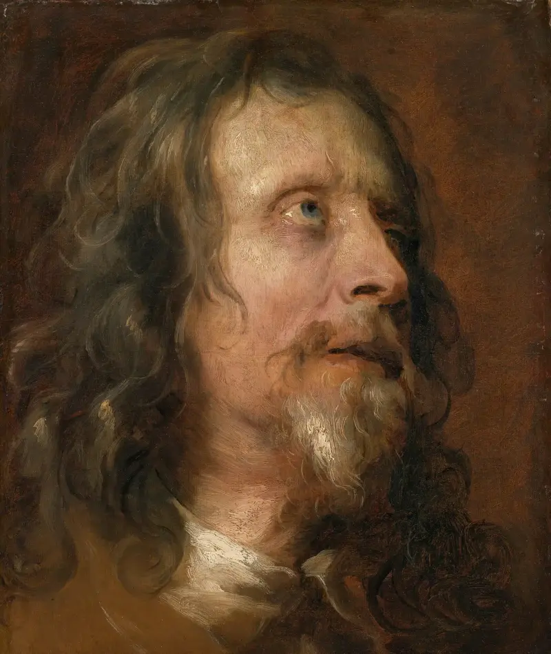 Portrait Study of a Bearded Man av Anthony van Dyck