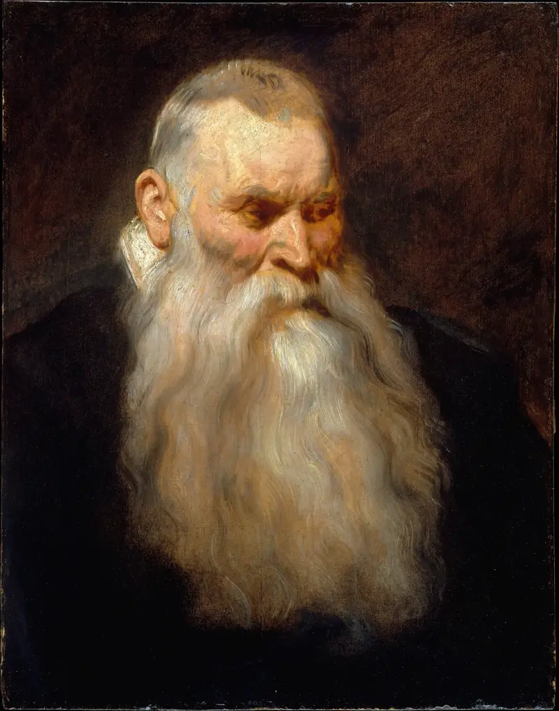 Study Head of an Old Man with a White Beard av Anthony van Dyck