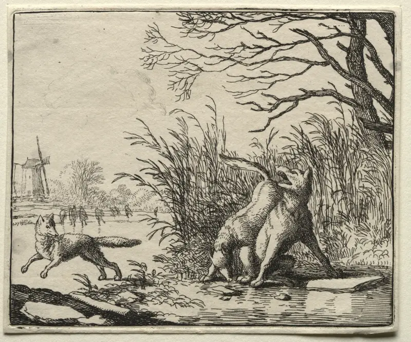 Eine neue Anklage des Wolfes von Allaert van Everdingen