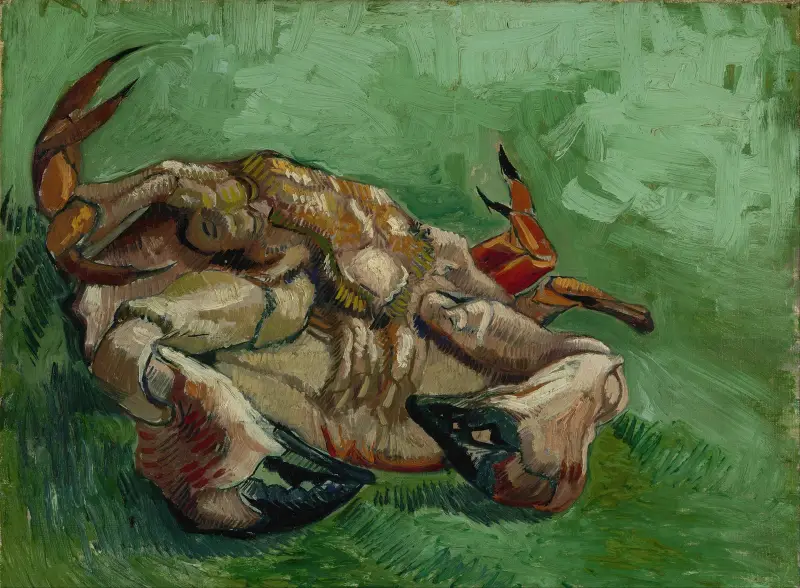 Krab na zádech, Vincent van Gogh