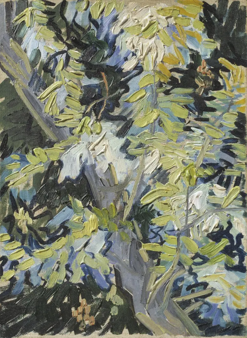 Akazie in Blüte von Vincent van Gogh