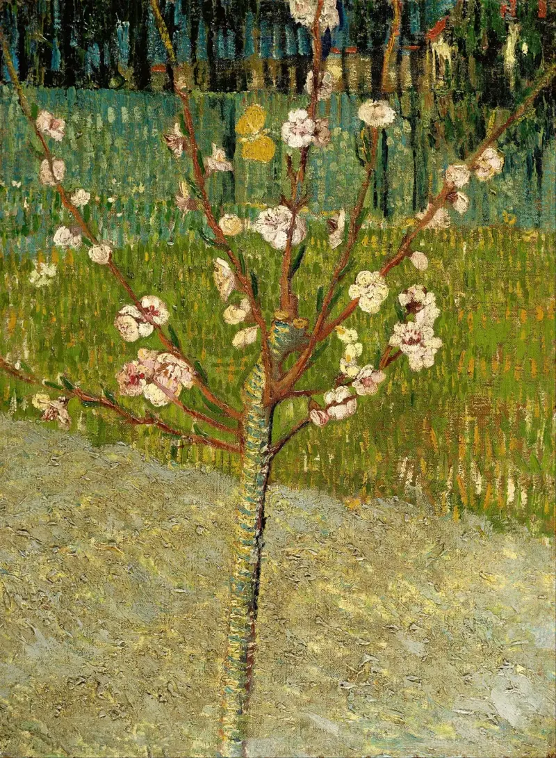 Migdałowiec w kwiatach, Vincent van Gogh