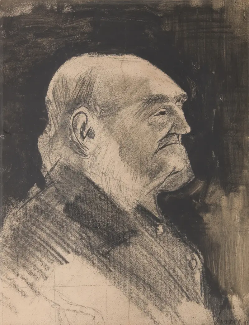 Plešatý sirotek, Vincent van Gogh