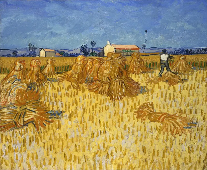 Die Kornernte in der Provence von Vincent van Gogh