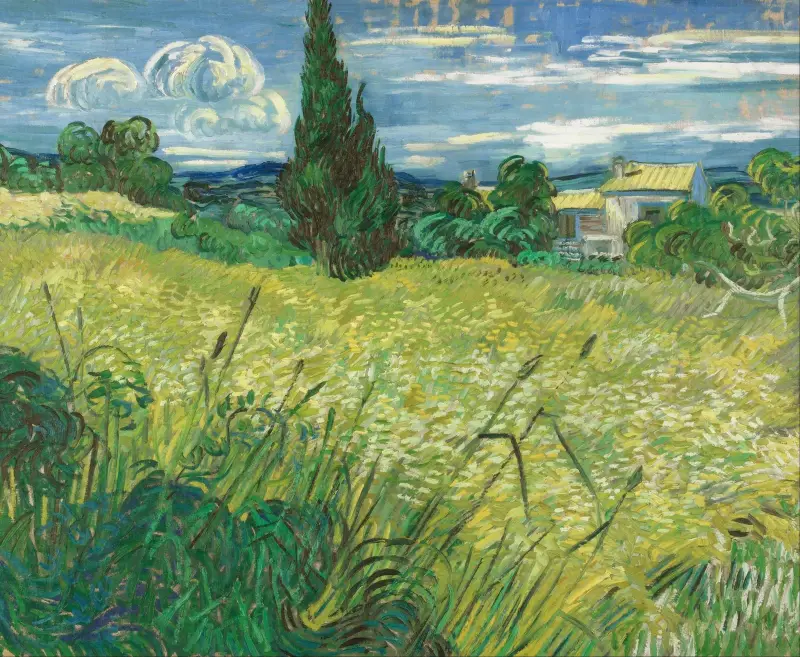 Zelené pole, Vincent van Gogh