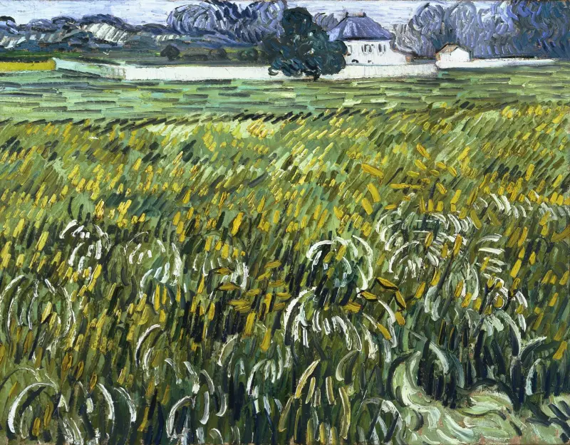 Dům v Auvers, Vincent van Gogh