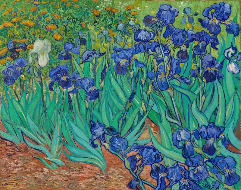 Schwertlilien, 1889 von Vincent van Gogh