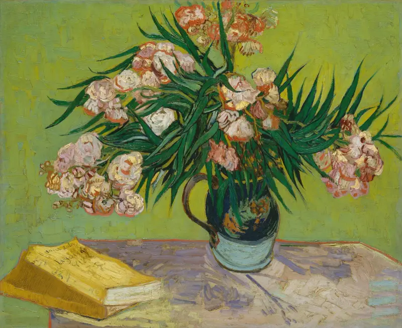 Oleander von Vincent van Gogh