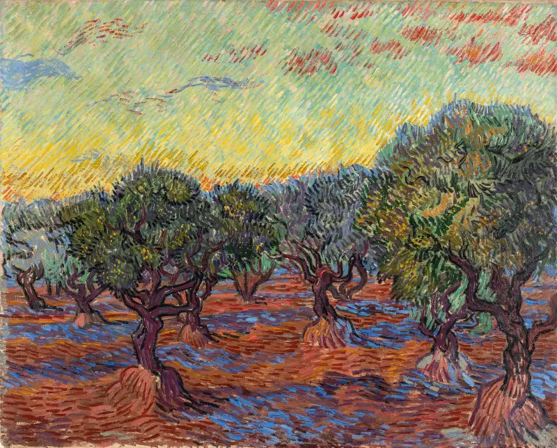 Olive Grove, Saint-Rémy av Vincent van Gogh