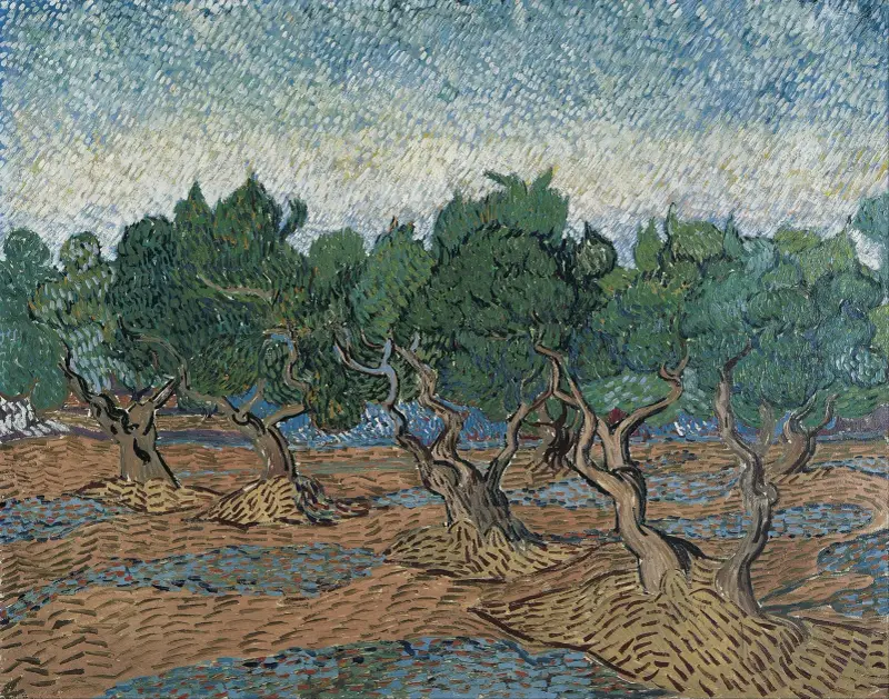 Olivový háj – č. 1, Vincent van Gogh