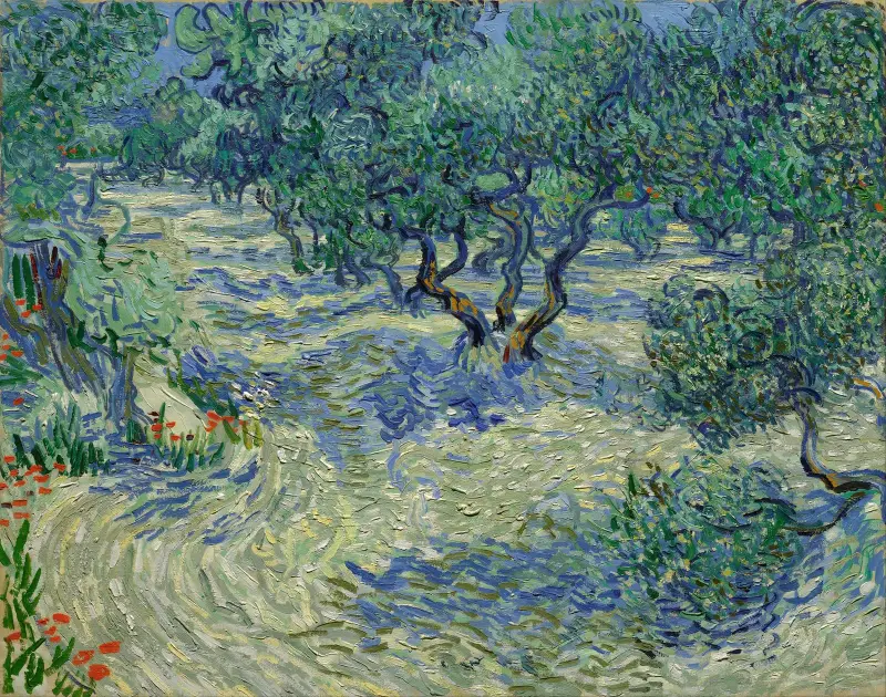 Gaj oliwny – nr 2, Vincent van Gogh
